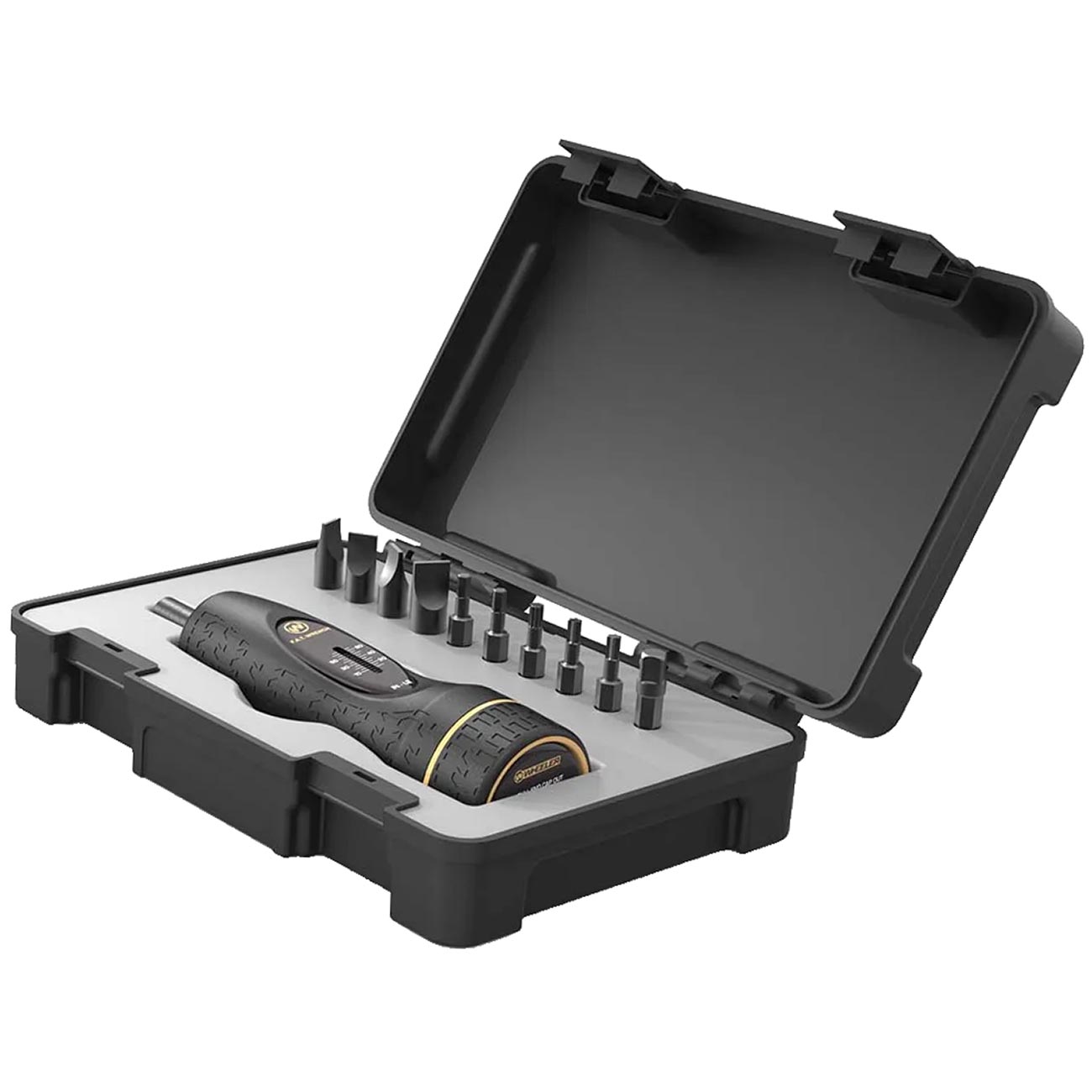 Wheeler F.A.T. Torque Wrench and 10 Bit Kit