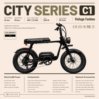 Vintage Fashion All-Road Fat Tire Electric Bike C1
