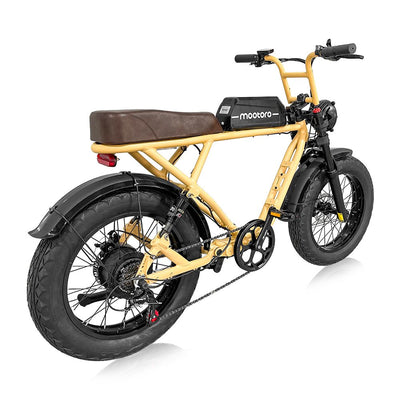 Vintage Fashion All-Road Fat Tire Electric Bike R1