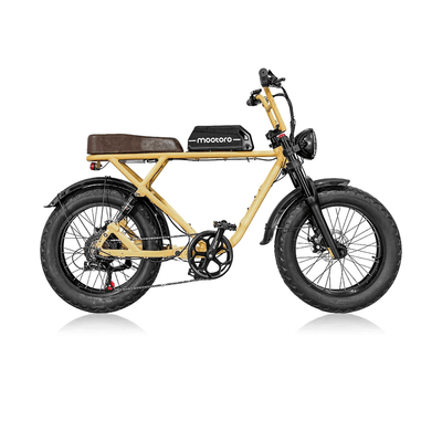 Vintage Fashion All-Road Fat Tire Electric Bike R1