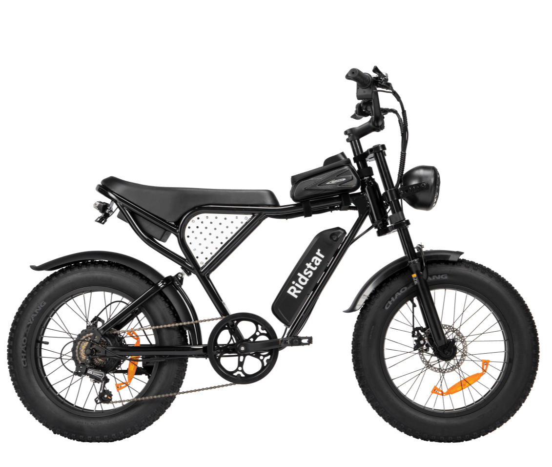 Off-road Electric Bike 1000W 20ah Black