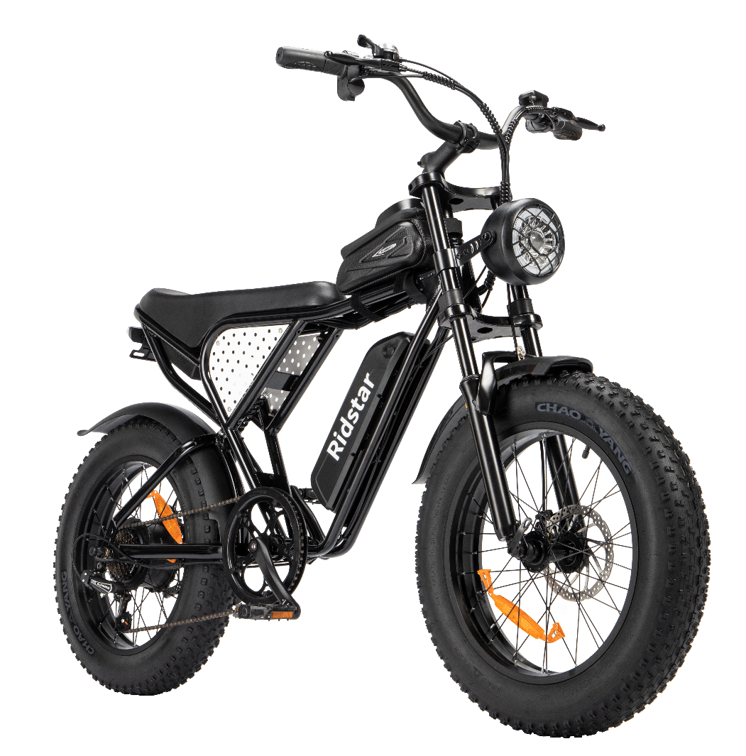 Electric Bike Ridstar Q20 MINI Speed 50km/h 1000W 48V15AH