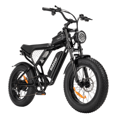 Electric Bike Ridstar Q20 MINI Speed 50km/h 1000W 48V15AH