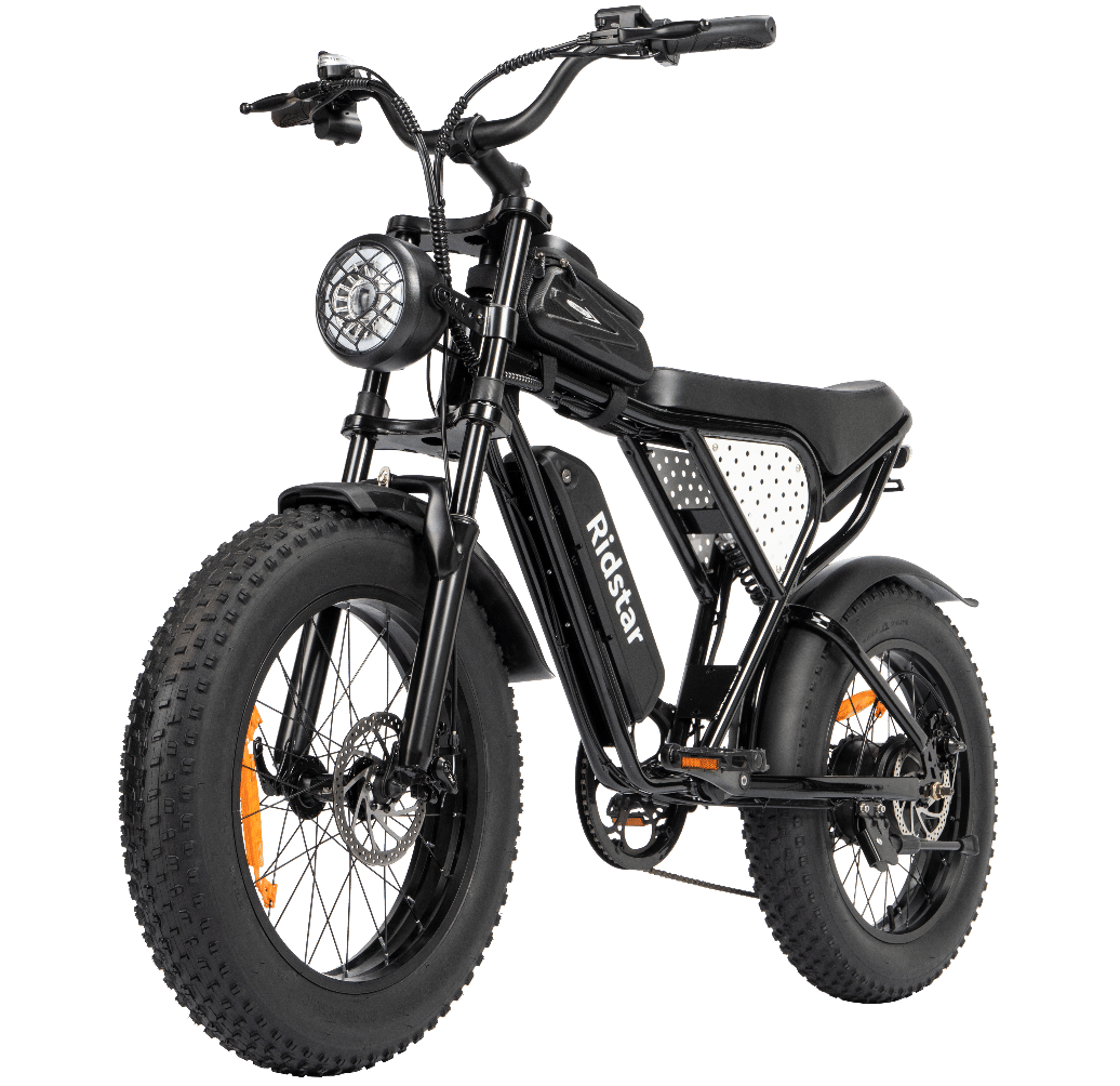 Electric Bike Ridstar Q20 MINI Speed 50km/h 1000W 48V15AH