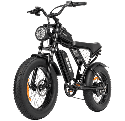 Electric Bike Ridstar Q20 MINI Speed 50km/h 1000W 48V15AH