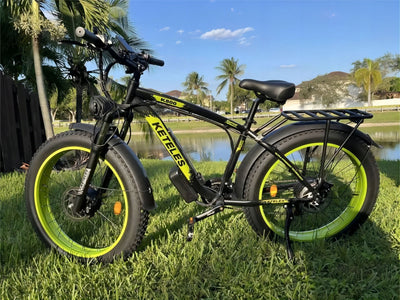 Electric Bike KETELES 48V 23AH Dual Motor 1000W*2 26"*4.0 MTB