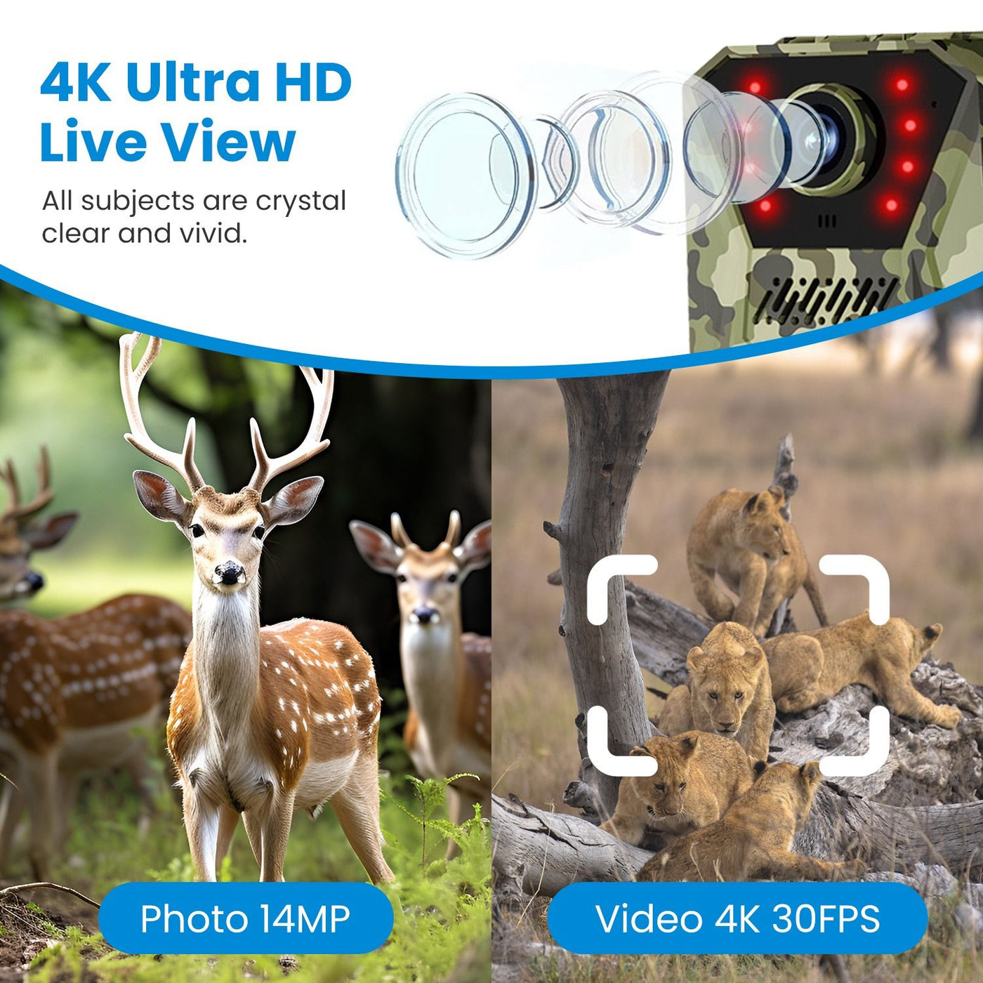 4G 4K 30FPS Solar Trail Camera Outdoor Wildlife Camera Motion Activated IP66 Waterproof with 140ºViewing Angle No Glow Night Vision SIM Card APP Control No WiFi Needed