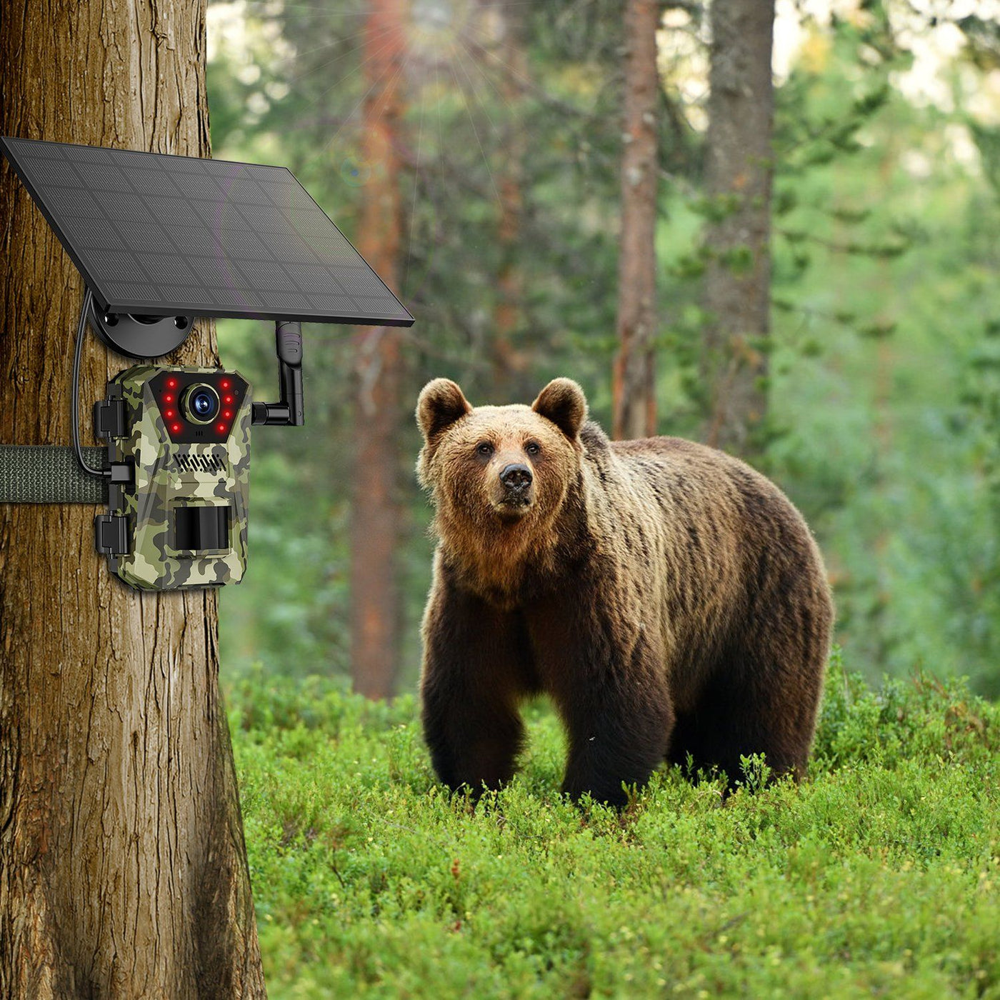 4G 4K 30FPS Solar Trail Camera Outdoor Wildlife Camera Motion Activated IP66 Waterproof with 140ºViewing Angle No Glow Night Vision SIM Card APP Control No WiFi Needed
