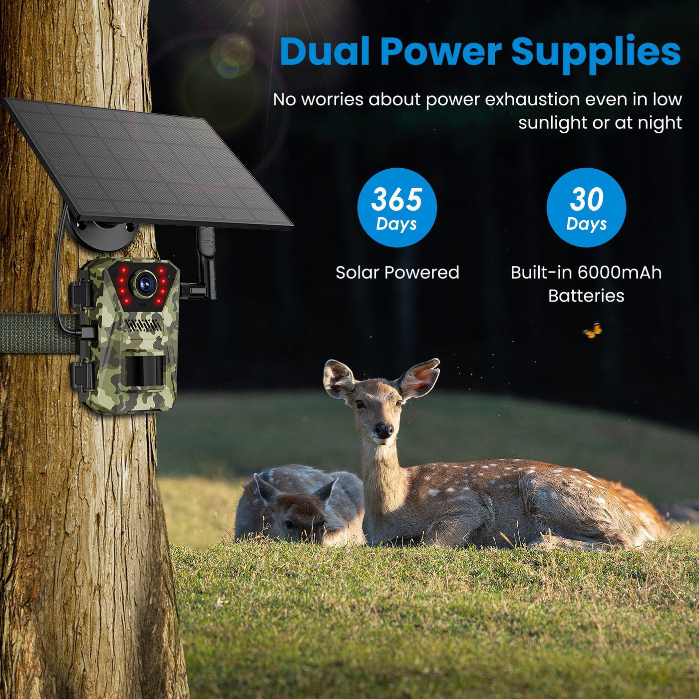 4G 4K 30FPS Solar Trail Camera Outdoor Wildlife Camera Motion Activated IP66 Waterproof with 140ºViewing Angle No Glow Night Vision SIM Card APP Control No WiFi Needed